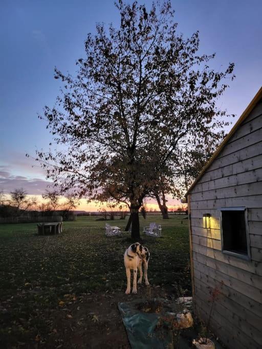 Gite Au Haras D'Agathe Et Ses Princes Les Barils Exterior photo