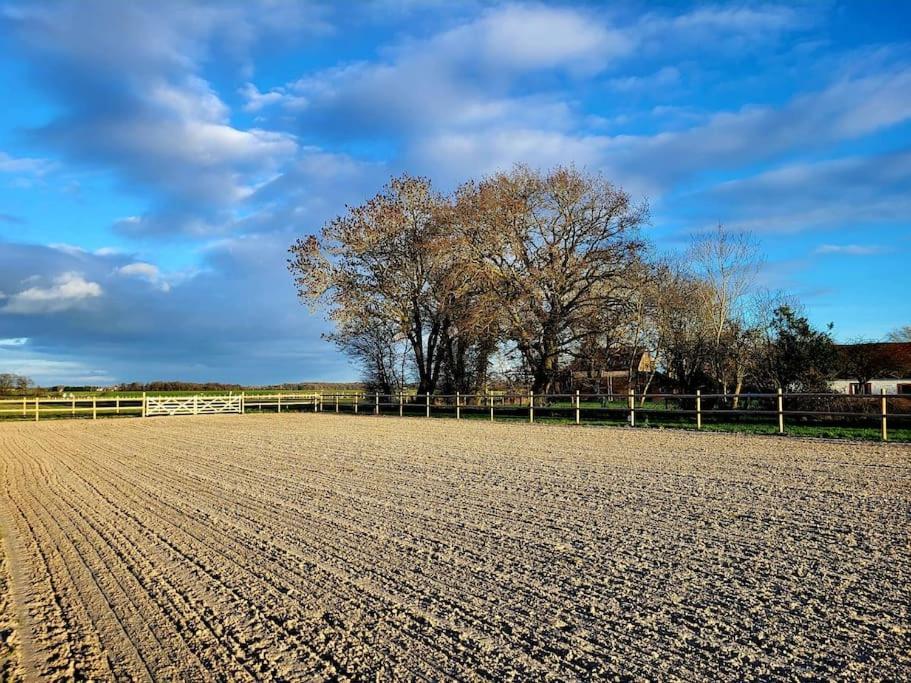 Gite Au Haras D'Agathe Et Ses Princes Les Barils Exterior photo